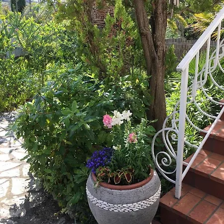 Sanssoucis Apartament *